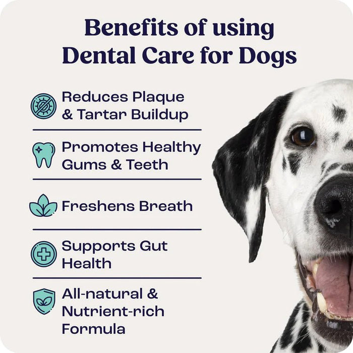 Summit Animal Health Dental Care Powder for Dogs, 1.43 oz - SAHC - 1.43 oz (60 Scoops) - 4