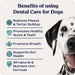 Summit Animal Health Dental Care Powder for Dogs, 1.43 oz - SAHC - 1.43 oz (60 Scoops) - 4