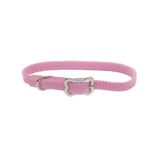 Sunburst Dog Collar with Bone Buckle - C21FL - Pink Bright - X - Small - 3/8" x 10" - 6