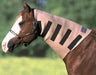 SuperSweats - Jeffers - Horse Supplies > Horse Grooming