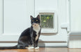 SureFlap Microchip Pet Door Connect for Large Cats & Small Dogs - 010MER-354016 - White - 8