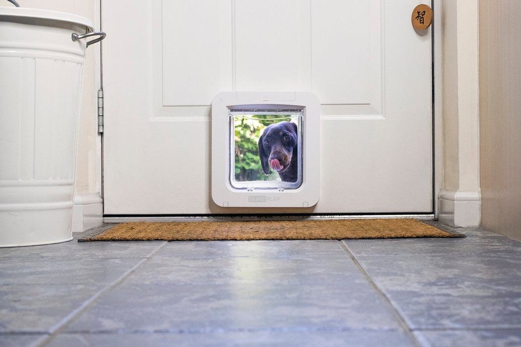 SureFlap Microchip Pet Door Connect for Large Cats & Small Dogs - 010MER-354016 - White - 7