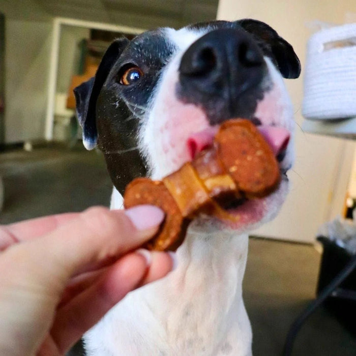 Sweet Potato Bones Dog Treats – All Natural, Limited Ingredient, Oven - Baked, Made in USA - GFFA - Chicken and Sweet Potato - 8 oz - 6