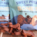 Sweet Potato Bones Dog Treats – All Natural, Limited Ingredient, Oven - Baked, Made in USA - GFFG - Pumpkin and Sweet Potato - 40 oz - 25