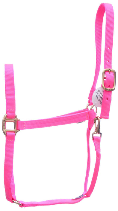 Triple E Nylon Draft Halter, Large (2000-2400 lb) - Hot Pink  