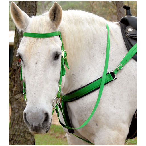 Triple E Nylon Draft Bridle w/ Bit & Reins - Lime Green  