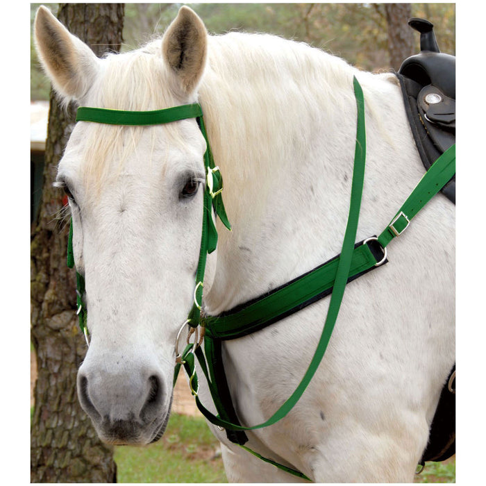 Triple E Nylon Draft Bridle w/ Bit & Reins - Hunter Green  