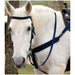 Triple E Nylon Draft Bridle w/ Bit & Reins - Navy Blue  