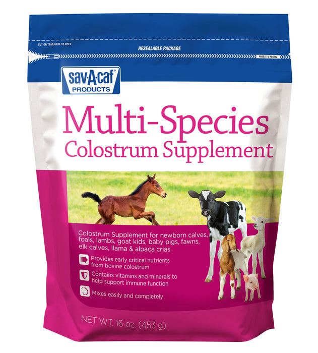 Multi-Species Colostrum Supplement, 16 oz -   