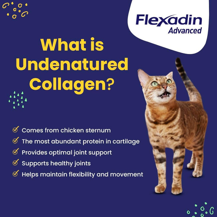 Flexadin Advanced Chews with UC-II Joint Supplement for Dogs & Cats