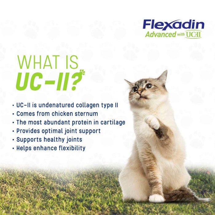 Flexadin Advanced Chews with UC-II Joint Supplement for Dogs & Cats