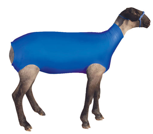 ShowPro Spandex Lamb Tube - Blue Medium 