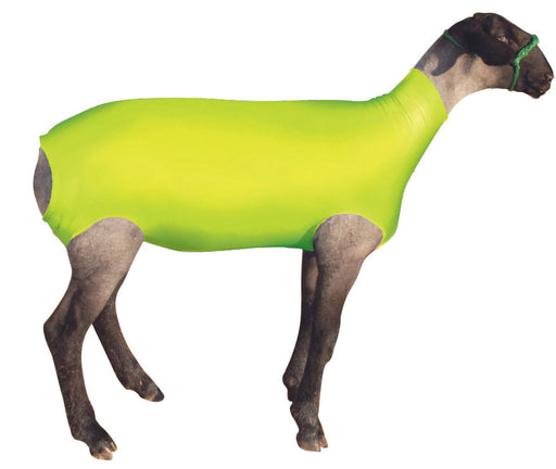 ShowPro Spandex Lamb Tube - Neon Green XLarge 