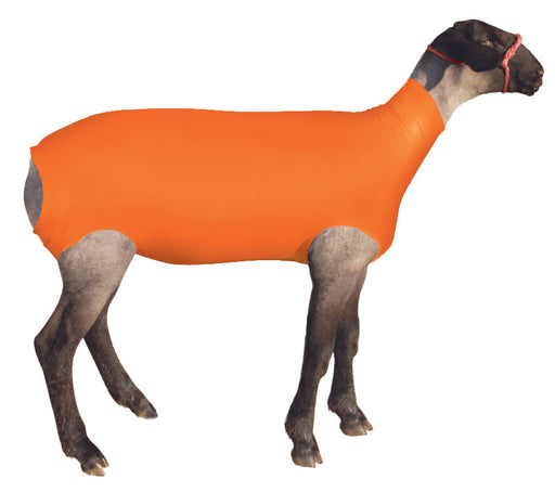 ShowPro Spandex Lamb Tube - Orange Small 