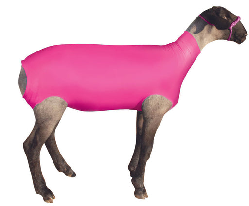 ShowPro Spandex Lamb Tube - Pink Small 