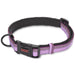 Halti Collar, Purple - Large, Halti Collar, Purple  