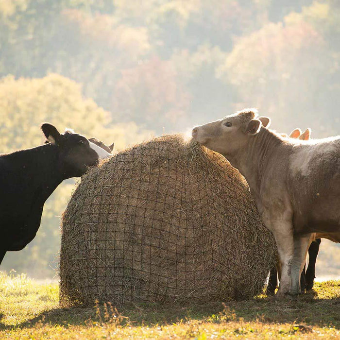 Texas Haynet Livestock Round Bale Net - Jeffers - Farm & Ranch Supplies > Livestock Feeders & Waterers