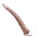 Big Sky Antler Chews, Singles - Medium Antler Chew, 5-6"  