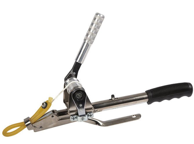 conductor|コンダクター kotori-brankセット conductor|コンダクター kotori-brankセット クラシックCD通販