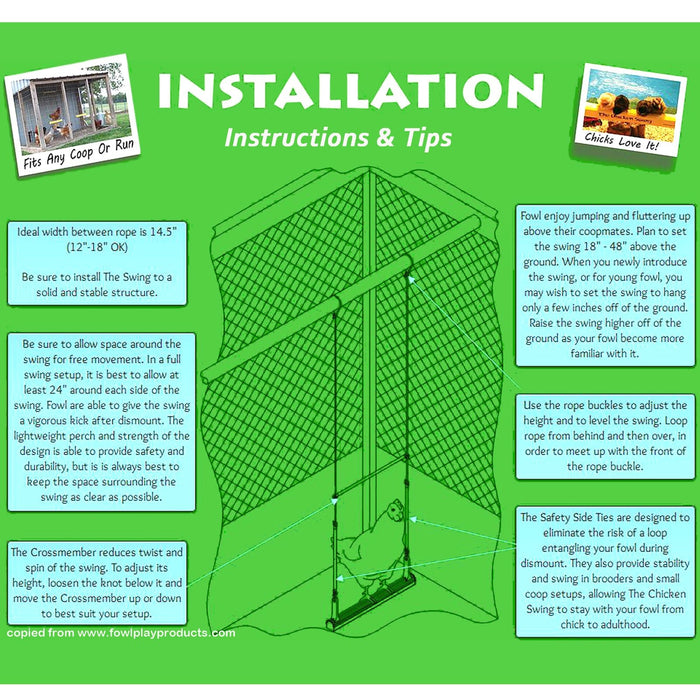 The Chicken Swing - Jeffers - Poultry Supplies > Poultry Supplies