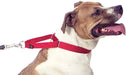 The Premier Collar, 1' x 14' - 20' - Jeffers - Dog Supplies > Dog Apparel > Dog Collars, Harnesses, & Leashes