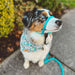 The Sidekick, Regular 3/8' - Jeffers - Dog Supplies > Dog Apparel > Dog Collars, Harnesses, & Leashes