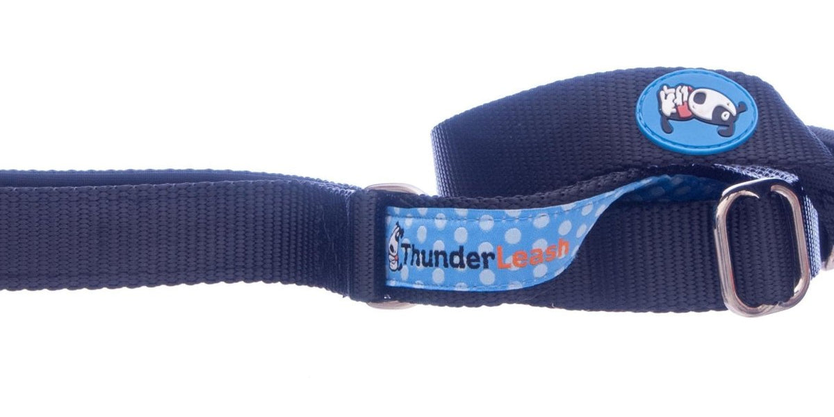 ThunderLeash Dog Leash, No Pull — Jeffers