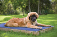 HyperKewl Evaporative Cooling Pad for Dogs - XX-Large HyperKewl Cooling Pad  