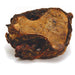 Top Crest Beef Knuckle Bone - Jeffers - Dog Supplies > Dog Treats > Bones