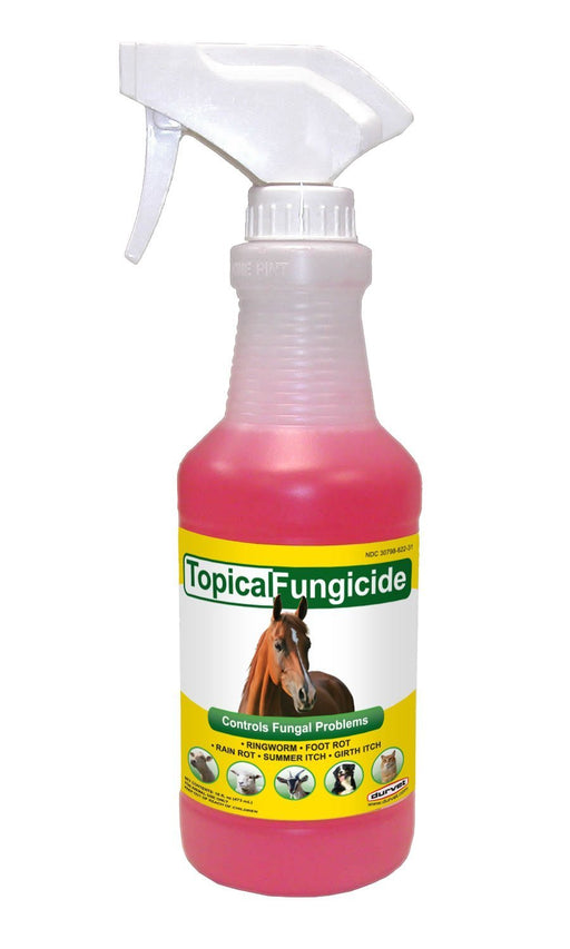 Topical Fungicide, 32 oz - Jeffers - Animal Health & Wellness > Skin & Coat Care