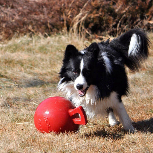 Toss - n - Tug Jolly Ball - Jeffers - Dog Supplies > Dog Toys