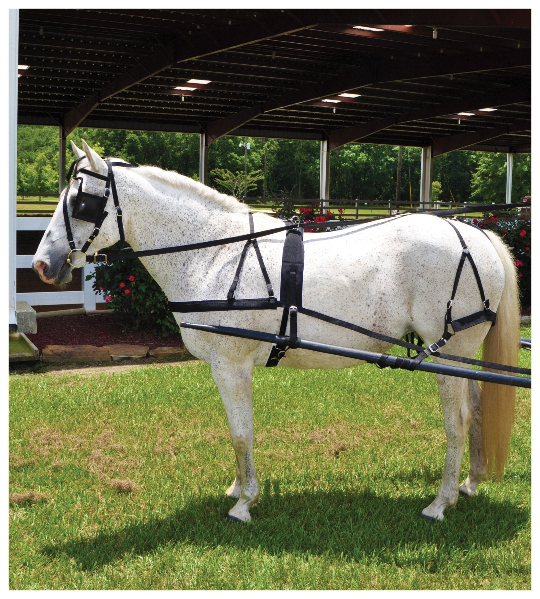 Springhare Harnesses Work Harness Tough 1 Deluxe Nylon Driving Harness Set With Bridle ...