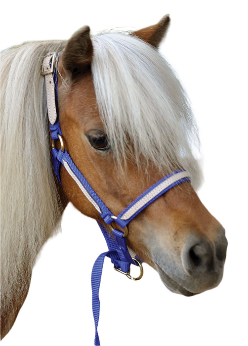 Tough1 Miniature Nylon Breakaway Halter, Large