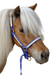 Tough1 Miniature Nylon Breakaway Halter, Large - JTIFD - Royal Blue - 5