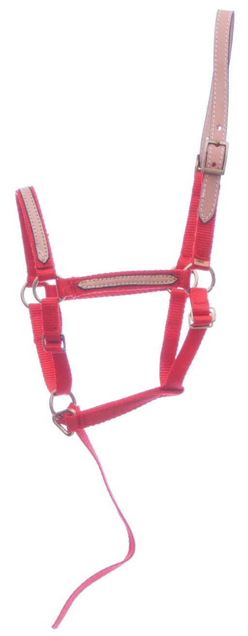 Tough1 Miniature Nylon Breakaway Halter, Large - Jeffers - Horse Supplies > Horse Tack > Horse Halters