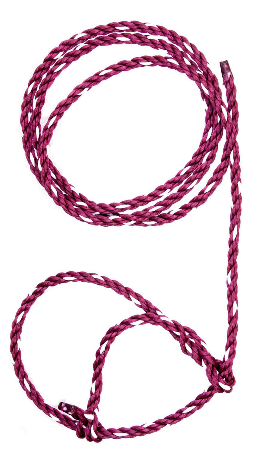 Cow & Cattle Halters — Jeffers