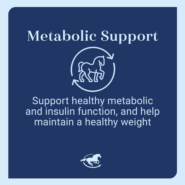 TSF 100 Thyroid Support for Horses, Pellets, 5 lb Bag - SMACM - 5 lb - 4