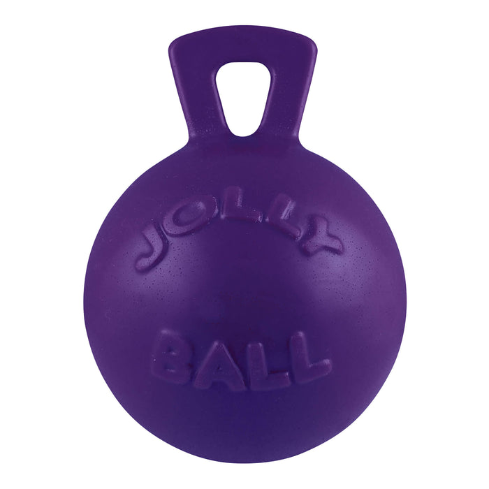 Tug - n - Toss Jolly Ball - Floating, Bouncing, Scented Dog Toy for Fetch, Water Play & Training - H7UZ - 4.5" - Purple - 6