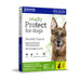 Vetality Protect for Dogs Size 3 DOSE