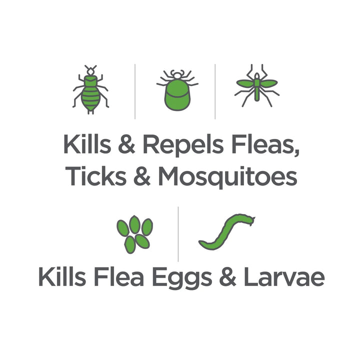 Vetality Naturals Flea & Tick Conditioning Shampoo for Cats Size 8 FL OZ