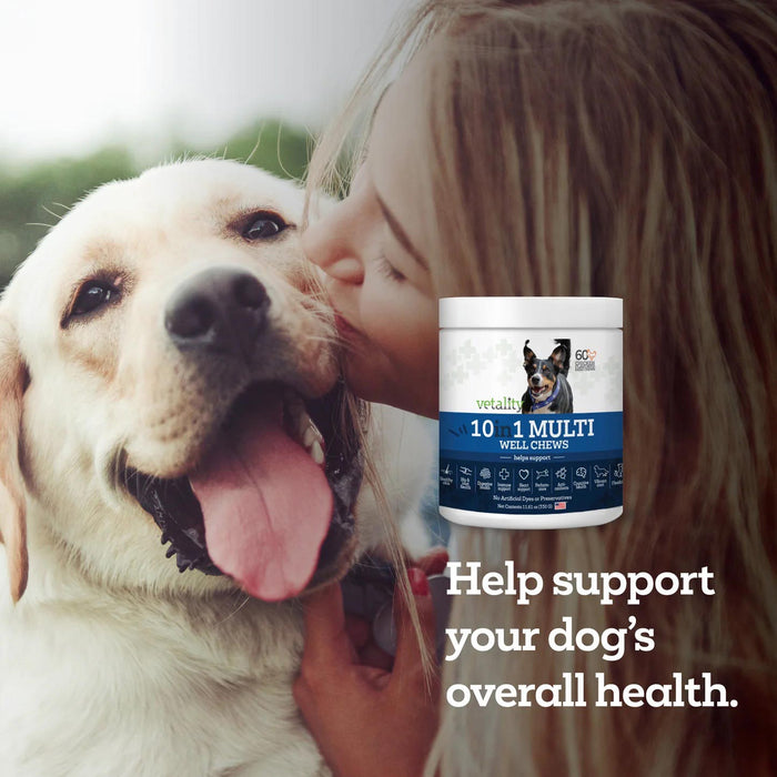 Vetality 10in1 Multi Well Chews for Dogs Size all sizes