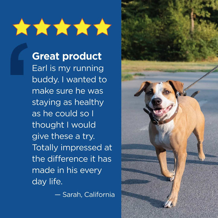 Vetality 10in1 Multi Well Chews for Dogs Size all sizes