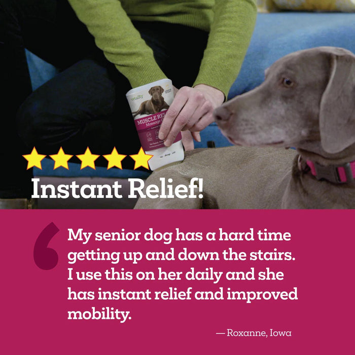 Vetality Muscle Massage Gel Size 3 FL OZ