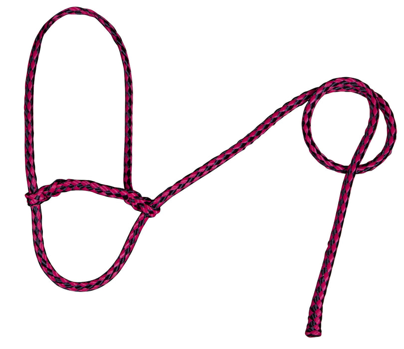 Troyer's Braided Poly Sheep Halter - Raspberry/Black  