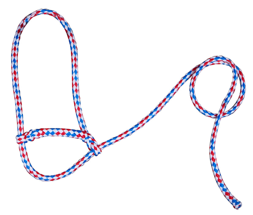 Troyer's Braided Poly Sheep Halter - Red/White/Blue  