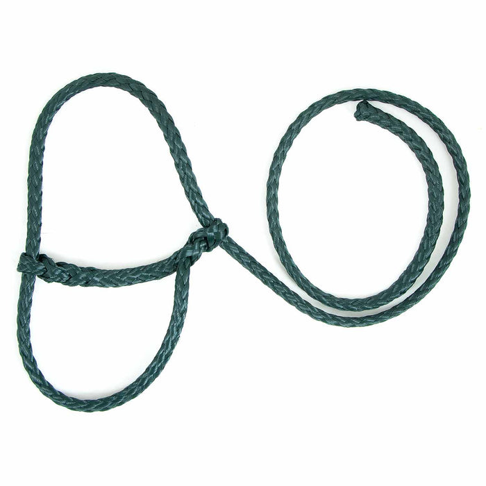 Troyer's Braided Poly Sheep Halter