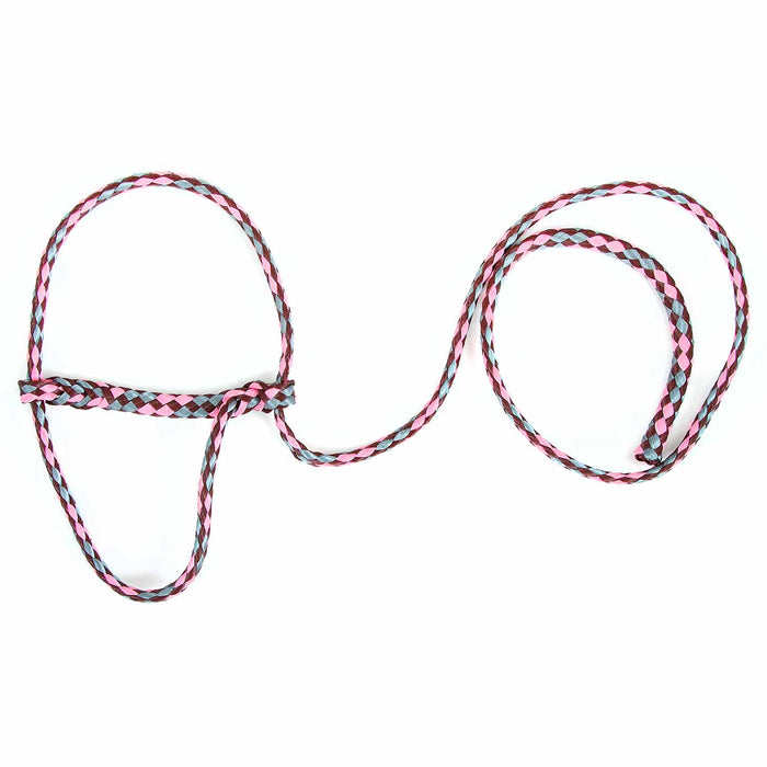 Troyer's Braided Poly Sheep Halter