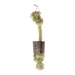 Choy Rope Dog Toy, 9" - Green with Horn  