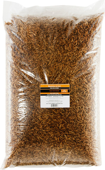 Hentastic Dried Mealworms - Hentastic Dried Mealworms, 11.02 lbs  