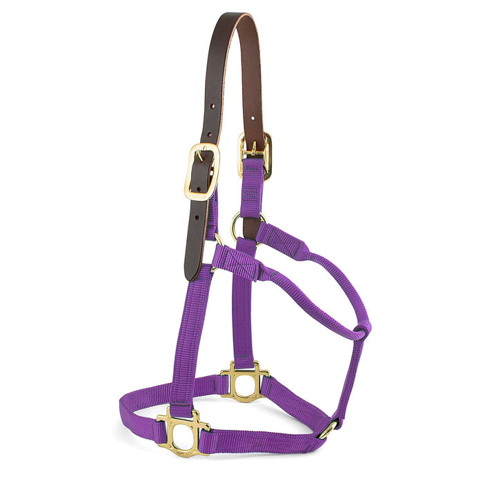Valhoma Premium Breakaway Nylon Horse Halter with Leather Crown & Brass Hardware - V2EF - Foal - Purple - 7